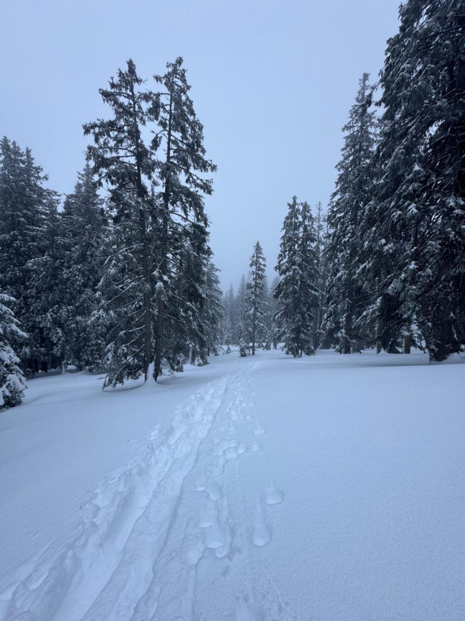 Allgaeu Bergluft Weitnau Buitenkant foto